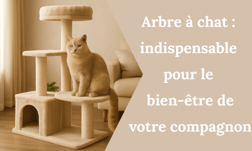 Arbre à chat : indispensable pour le bien-être de votre compagnon - My Little Kat