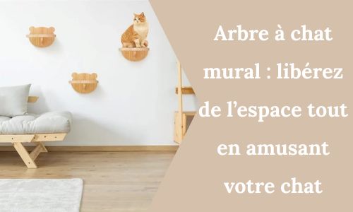 Arbre à chat mural : libérez de l’espace tout en amusant votre chat - My Little Kat