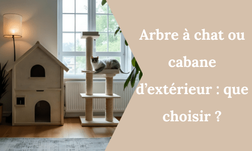 Arbre à chat ou cabane d’extérieur : que choisir ? - My Little Kat