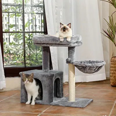 arbre-a-chat-astana-756113