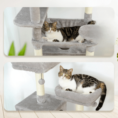 Arbre a Chat Design | ADENâą - My Little Kat