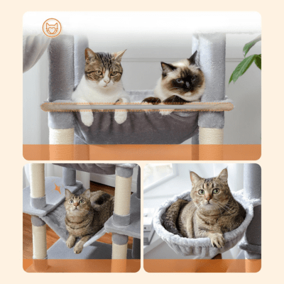 Arbre a Chat Design | Aruba™ Beige - My Little Kat