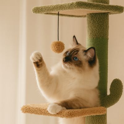 Arbre a Chat Design | Gardenâą - My Little Kat