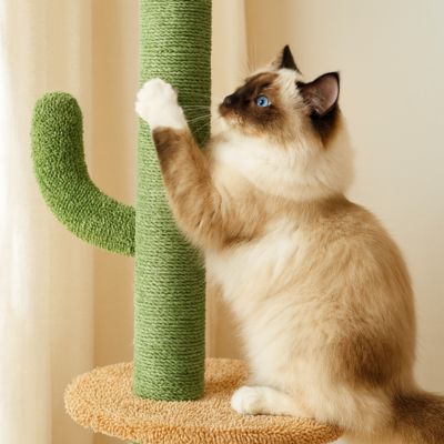Arbre a Chat Design | Gardenâą - My Little Kat