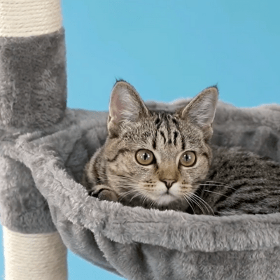 Arbre a Chat Design | Monacoâą gris - My Little Kat
