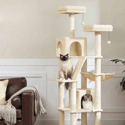 Arbre a Chat Design | SYDNEYâą Beige - My Little Kat