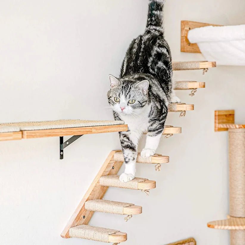 arbre-a-chat-mural-seoul-escalier-x1-270749