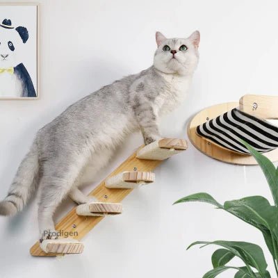 arbre-a-chat-mural-seoul-escalier-x1-897132