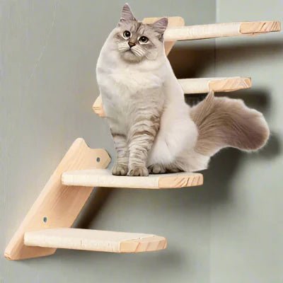 arbre-a-chat-mural-seoul-escalier-x1-939633