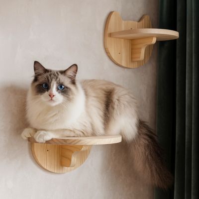 Arbre a Chat mural | Séoul™ - étagère x1 - My Little Kat