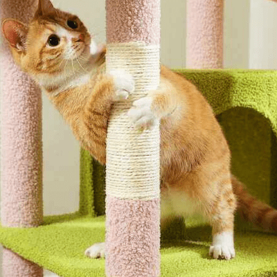 Arbre a Chat XXL | SYDNEYâą Rose - My Little Kat