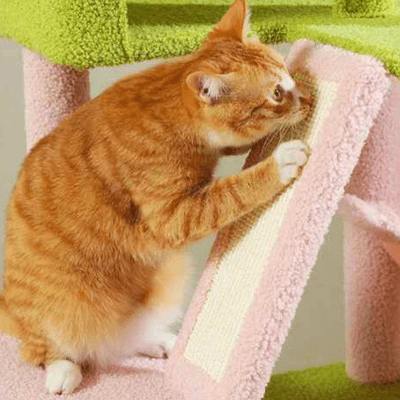 Arbre a Chat XXL | SYDNEYâą Rose - My Little Kat