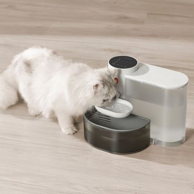 Fontaine a eau chat | CAMELIA™ Sans filtres - My Little Kat