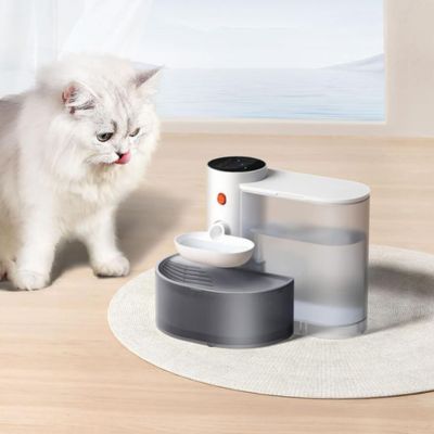 Fontaine a eau chat | CAMELIA™ Sans filtres - My Little Kat