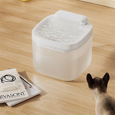 Fontaine a eau chat | GLYCINE ™ Blanche à LED - My Little Kat