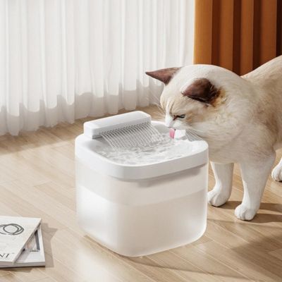 Fontaine a eau chat | GLYCINE ™ Blanche à LED - My Little Kat