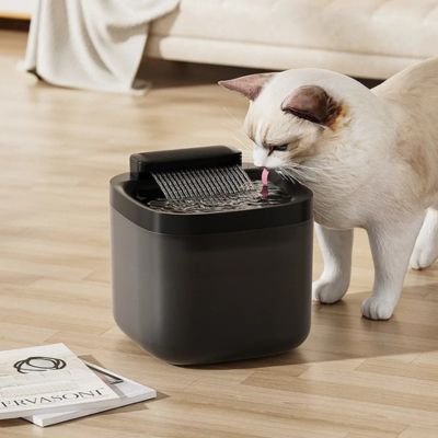 Fontaine a eau chat | GLYCINE ™ Noire à LED - My Little Kat