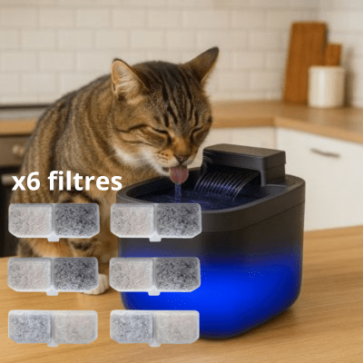 Fontaine a eau chat | Lot de 6 filtres de rechange pour fontaine GLYCINE ™ Noire et Blanche - My Little Kat