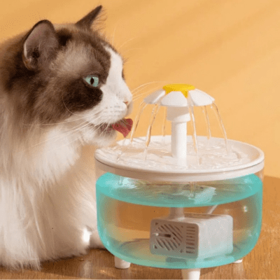 Fontaine à eau pour chat | PAQUERETTE™ - My Little Kat