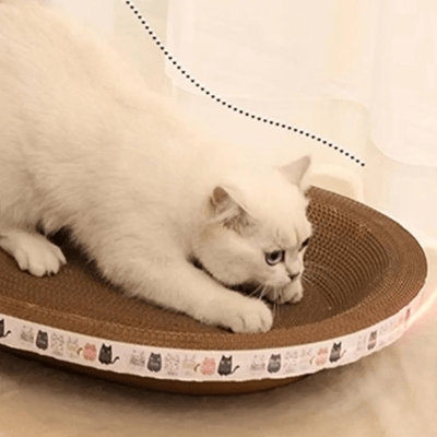Griffoir à Chat | Cyprés™ Oval - My Little Kat