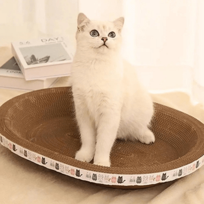 Griffoir à Chat | Cyprés™ Oval - My Little Kat