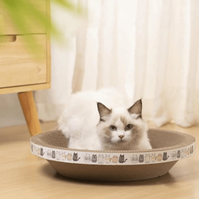 griffoir-a-chat-cypres-rond-158235