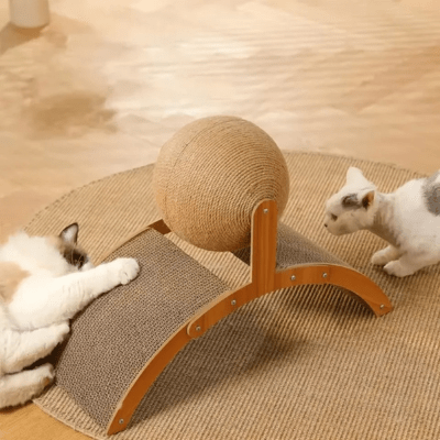 griffoir-chat-cary-279823