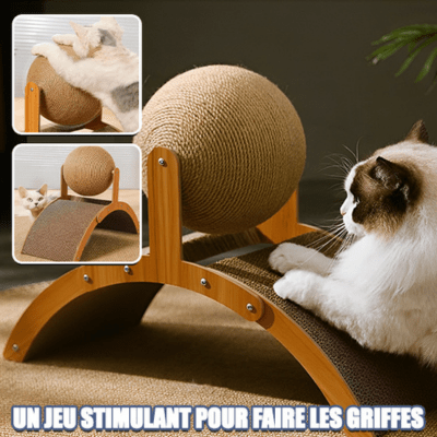 griffoir-chat-cary-294206