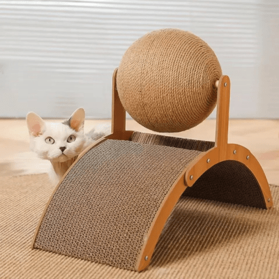 griffoir-chat-cary-431966