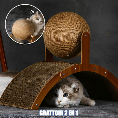 griffoir-chat-cary-619118