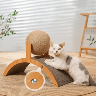 griffoir-chat-cary-849710