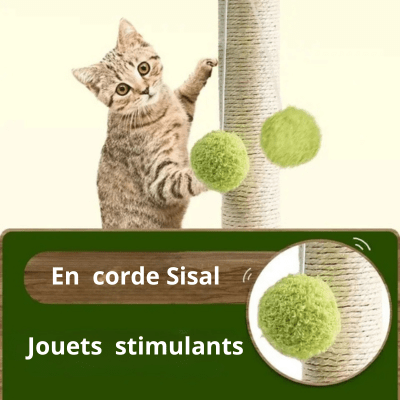 griffoir-chat-palmier-118487