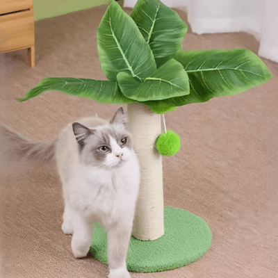 griffoir-chat-palmier-462868