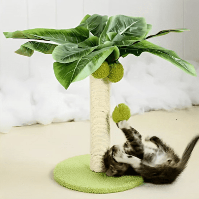 griffoir-chat-palmier-539546