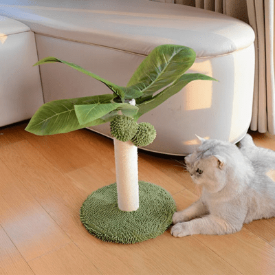 griffoir-chat-palmier-571571