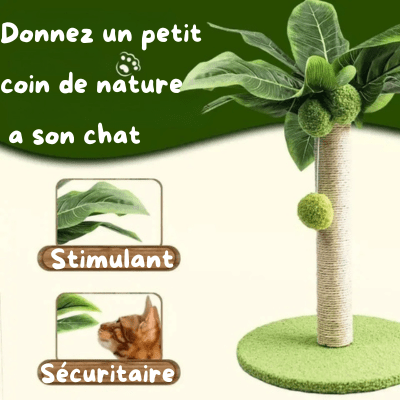 griffoir-chat-palmier-852691