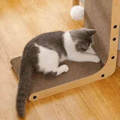 griffoir-chat-sumac-126873