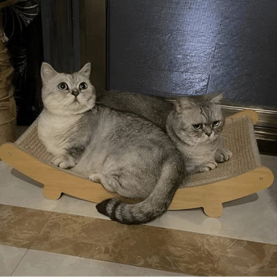 griffoir-chat-tsuga-293177