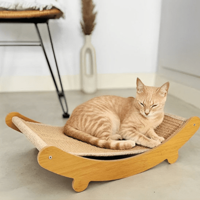 griffoir-chat-tsuga-923294