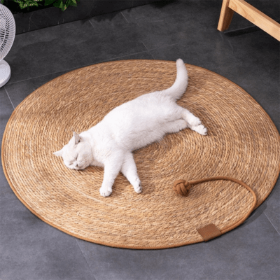 griffoir-pour-chat-abie-658223