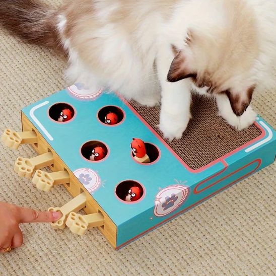 griffoir-pour-chat-jeux