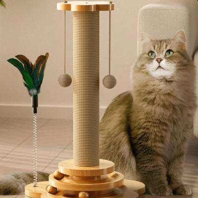 griffoir-pour-chat-orme-846734