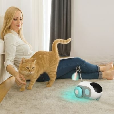 Jouet Interactif Intelligent Chat | MLK SmartChase™ - My Little Kat