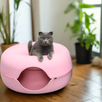 Lit pour Chat | GINA™ Rose - My Little Kat