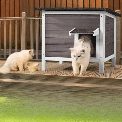 Maison pour Chat Extérieur | LEA™ - My Little Kat