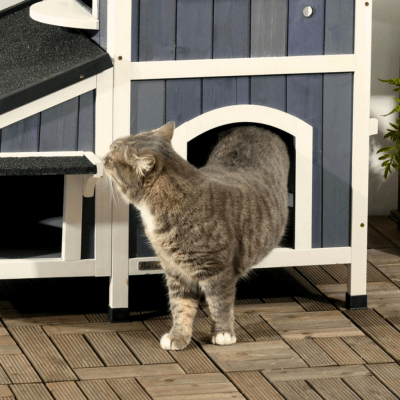Maison pour Chat Extérieur | VILLA™ - My Little Kat
