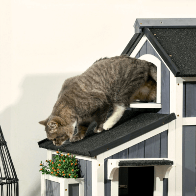 Maison pour Chat Extérieur | VILLA™ - My Little Kat