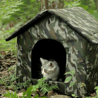 Niche pour Chat | OLGAâą - My Little Kat