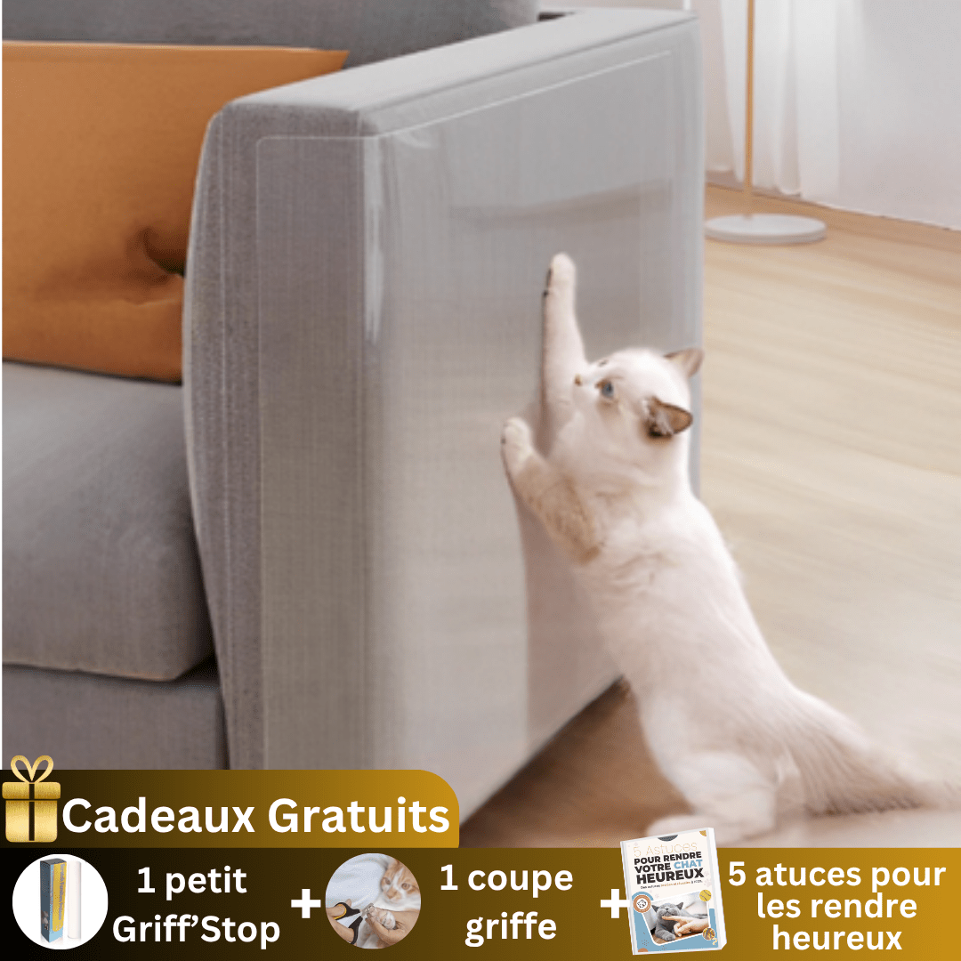 Protection Anti - Griffes Invisible | Griff'Stop Invisible 30 cm / 500 cm - My Little Kat