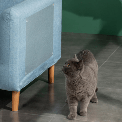 Protection Anti - Griffes Invisible | Griff'Stop Invisible 30 cm / 500 cm - My Little Kat